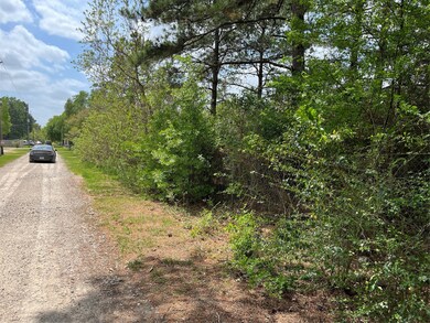 0 Kimball Ln, Hockley, TX 77447 - photo 3