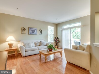 20446 Cool Fern Square, Ashburn, VA 20147 - photo 7