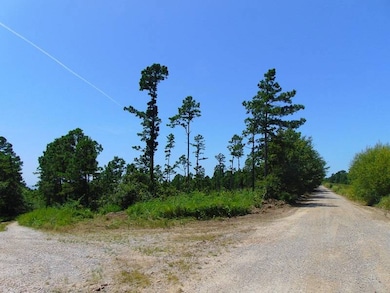 tbd Peach Creek Rd, Fan, OK 74935 - photo 2