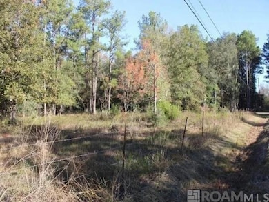 28545 Coker Vail Rd N, Holden, LA 70744 - photo 4