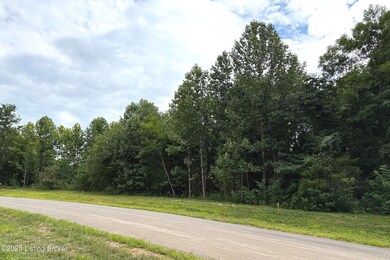 5304 Sycamore Ridge Ln, La Grange, KY 40031 - photo 4