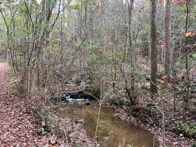 0 Zion Hill Rd unit 411375, Ellijay, GA 30540 - photo 5