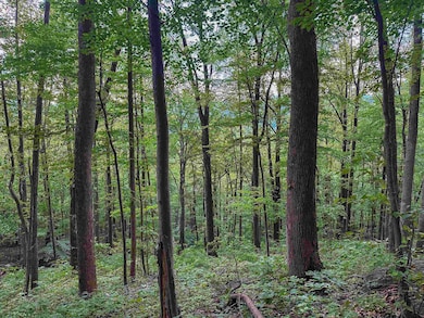 TBD Ridge St, Lovingston, VA 22949 - photo 5