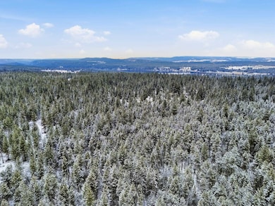 NKA Unassigned Rd, Deer Park, WA 99006 - photo 6