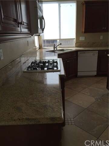 Counter with cooktop