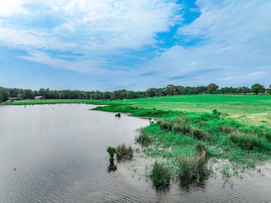 000 County Road 4200, Daingerfield, TX 75638 - photo 4