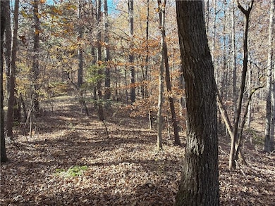 0 Whitestone Rd unit 7677114, Talking Rock, GA 30175 - photo 4