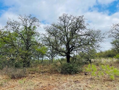 44 County Road 129, Brownwood, TX 76801 - photo 5