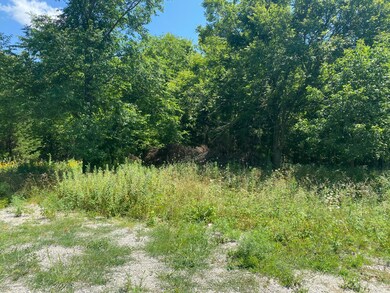 3.01 Ac Tbd State Hwy Cc, Conway, MO 65632 - photo 3