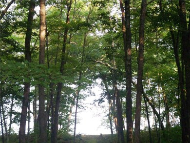 28710 Spotted Fawn Dr, Danbury, WI 54830 - photo 5