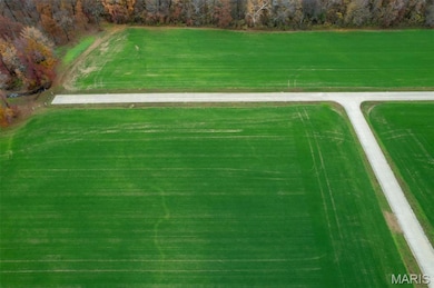 425 Bertha E Dumey Dr, Benton, MO 63736 - photo 2