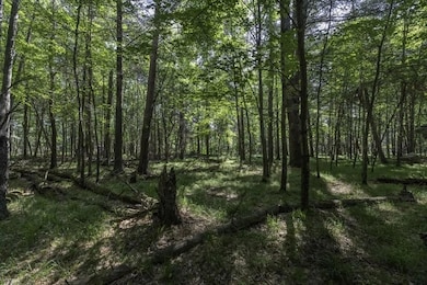 Lot 32 Pinecone Dr, Woodruff, WI 54568 - photo 5