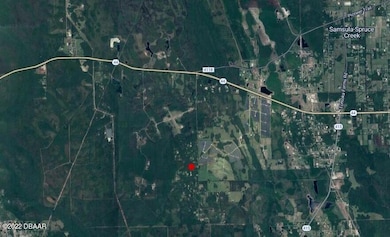 4625 Fir Rd, New Smyrna, FL 32168 - photo 2