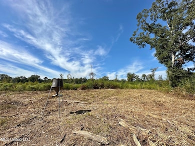 0 Highway 35 unit 4126739, Walnut Grove, MS 39189 - photo 4