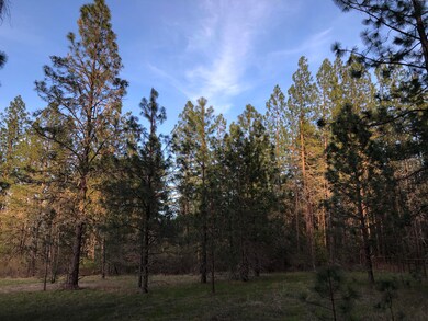 4201 New Hope Rd, Grants Pass, OR 97527 - photo 3