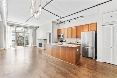 West Loop Gate unit 703, Chicago, IL 60607 - photo 7