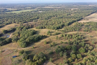 0 Cr 3451 unit 14457765, Paradise, TX 76073 - photo 3