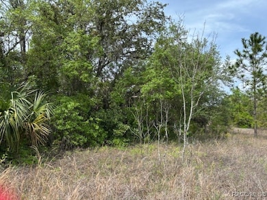 5831 W Dunnellon Rd, Dunnellon, FL 34433 - photo 2