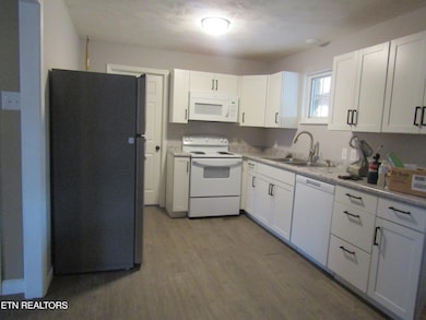 2718 Mayfield Dr, Talbott, TN 37877 - photo 6