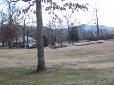 Back View IMG_3168