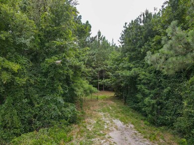 00 Starnes Rd, Enoree, SC 29335 - photo 3