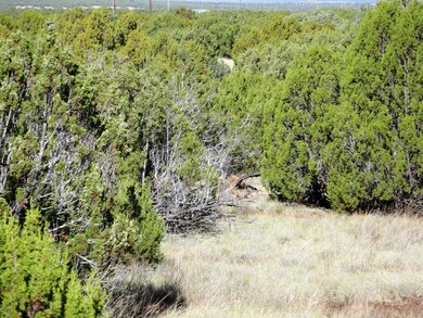 8575 Powells Ln, Show Low, AZ 85901 - photo 4