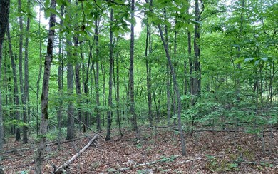 Additional View