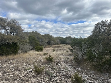 White Mountain Rd, Rocksprings, TX 78880 - photo 2