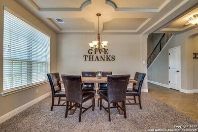 3802 Ox-Eye Daisy, San Antonio, TX 78261 - photo 5