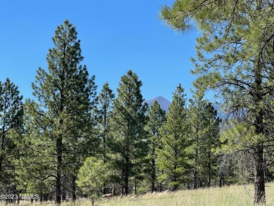 IMG_7096