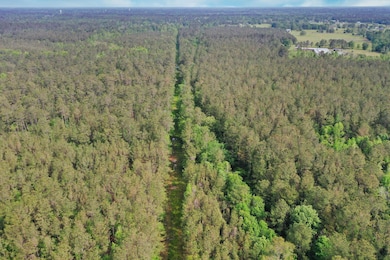 00 Louisiana 442, Tickfaw, LA 70466 - photo 6