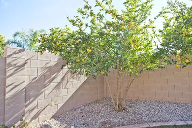 11245 E Stearn Ave, Mesa, AZ 85212 - photo 6