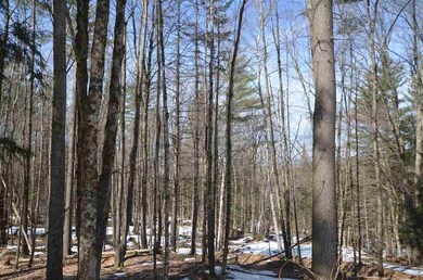 0 Manelick Rd unit 4,5,6,7 4850075, Stowe, VT 05672 - photo 5