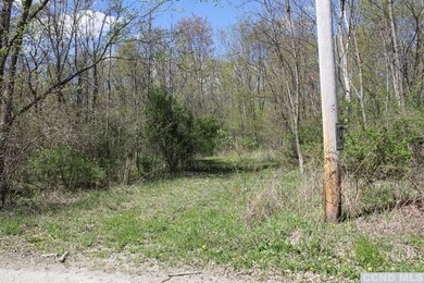 0 Roche Ln, Ancram, NY 12503 - photo 3