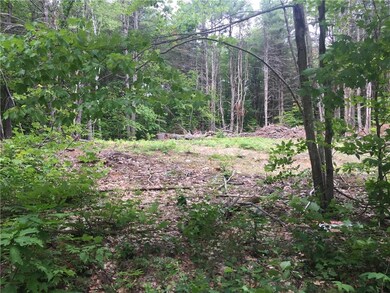 Lot 2 White Tail Ridge Rd, Bridgton, ME 04009 - photo 2
