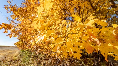 +/-46 Acres Bee Ln, Lancaster, WI 53813 - photo 5