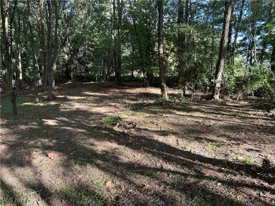 7320 Fenner Rd, Shelby, OH 44875 - photo 5