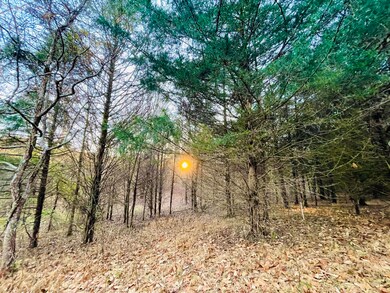 Entrance Main Driveway