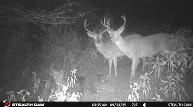 Highway 31, Coalgate, OK 74538 - photo 3