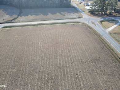 9501 Harper House Rd, Newton Grove, NC 28366 - photo 3