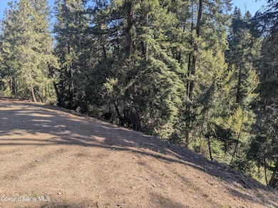 NNA Bastrup Ln, Coeur D'Alene, ID 83814 - photo 7