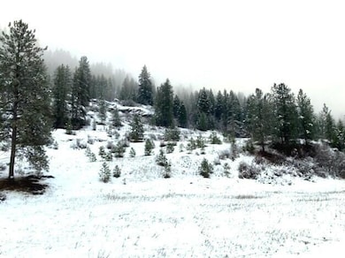 35XX Rockcut Rd, Kettle Falls, WA 99141 - photo 7