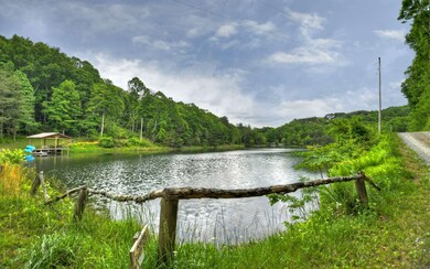 Additional View