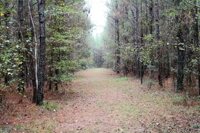 0 Sawtooth Ridge unit 810006, Callahan, FL 32011 - photo 3