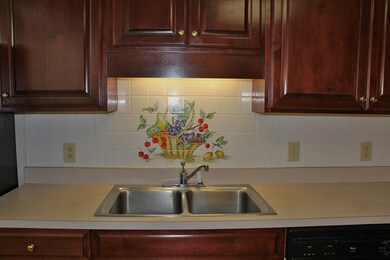 Double Stainless Steel Sink