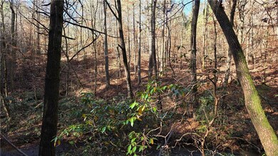 0 Dell Moore Rd, Marble Hill, GA 30148 - photo 4