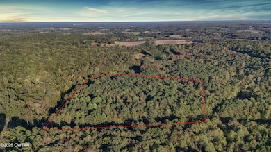 1 Falcon View Dr, Cedar Grove, TN 38388 - photo 4