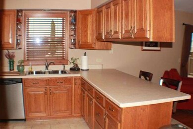 1316 Brendan Dr, Morris, IL 60450 - photo 4