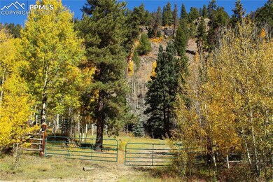 38938 Nf-250, Antonito, CO 81120 - photo 3