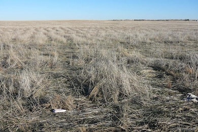 0 Manila Rd unit REC6876164, Bennett, CO 80102 - photo 6